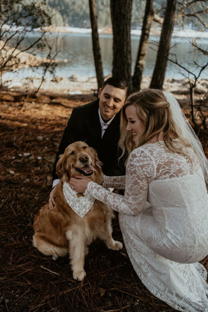 Couple kneeling next to their golden retriever dog right after their ceremony during their elopement in Placerville California 