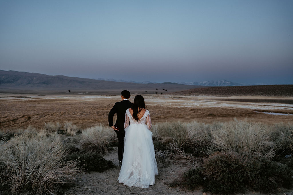 Couple walking away from the camera over looking a valley with bird flying through it in Mammoth Lakes California Mammoth Lakes Elopement 
