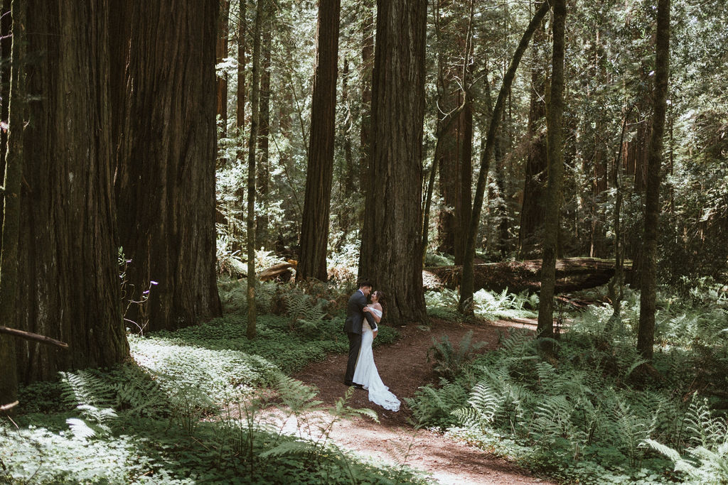 Man dipping wife surrounded by giant redwoods in the Avenue of the Giants in Northern California for their Elopement. Redwood Elopement Photography
