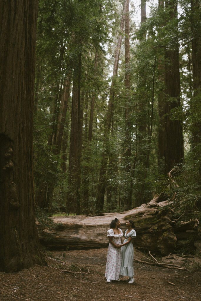 Couple holding hands In the Redwoods with a fallen redwood situated behind them. Engagement photos in Northern California 