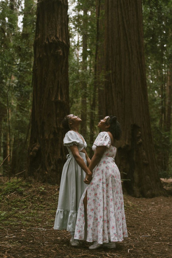 Couple standing across from each other holding both hands looking up at the trees surrounding them in front of two giant redwoods. Northern California Engagement photos