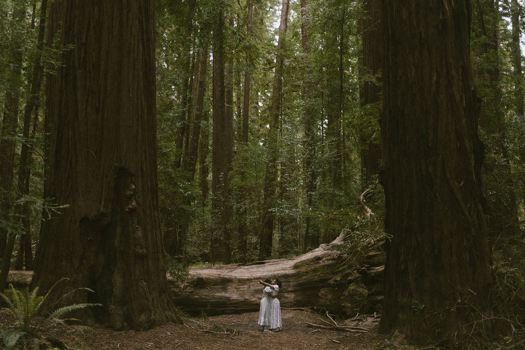 Two girls Kissing in front of a giant fall redwood and in between two Redwoods in the middle of a green sea of the redwood grove;